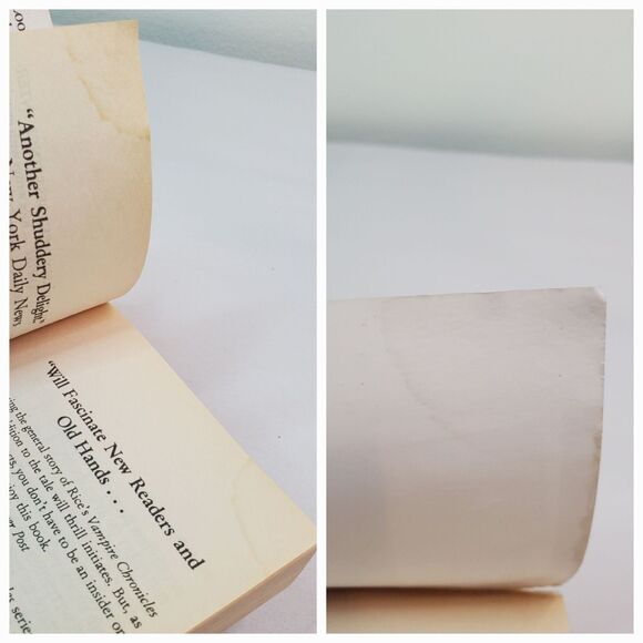 Anne Rice Paperbacks-Lot Of 3 Books: Interview Vampire Body Thief Cry To Heaven - Picture 7 of 16